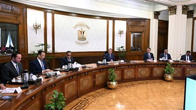 رئيس الوزراء يتابع موقف منظومة كارت الخدمات الحكومية الموحد.. ويؤكد: توجيه الدعم للمواطنين المستحقين