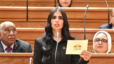 النائبة هايدي المغازي تتقدم بطلب إحاطة بشأن هيكل أجور أعضاء هيئة التدريس بالجامعات الحكومية