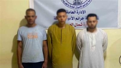 بمكالمة هاتف.. ضبط 3 أشخاص للنصب على المواطنين بانتحال صفة موظفي البنوك