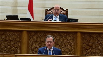 النائب طارق الملا يستعرض تقرير انضمام مصر إلى مبادرة الشرق الأوسط الأخضر