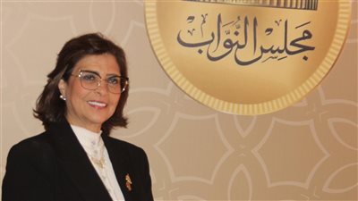 شبكات الأمان الاجتماعي حققت نتائج ملموسة ونطالب بزيادة مخصصات ذوي الهمم