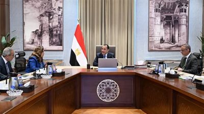 رئيس الوزراء يتابع الموقف التنفيذي للمشروعات التنموية والخدمية في محافظة الجيزة