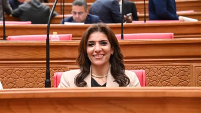 حضور مصر قمة السبع تعكس مكانة مصر الدولية