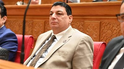 القمة المصرية الأمريكية تؤكد أهمية الدور المصري في دعم التوازن والاستقرار الإقليمي