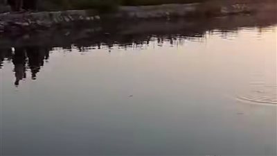 مصرع 3 شباب غرقا بمياه ترعة بالشرقية