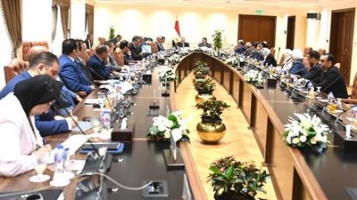 خاص تحيا مصر.. اللجنة الفرعية لقانون الإدارة المحلية تعقد أولى جلسات الاستماع الإثنين بحضور وزيرة التنمية المحلية