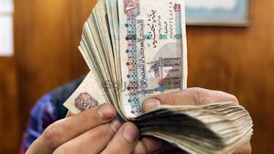 غرامة تصل إلى 200 ألف جنيه وغلق المنشأة.. القانون يحدد عقوبة إنشاء مصانع المواد الكيميائية دون ترخيص