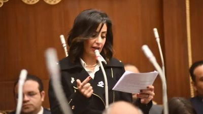 مجلس الشيوخ يناقش مقترح النائبة يوستينا رامي حول التطورات الإقليمية والدولية