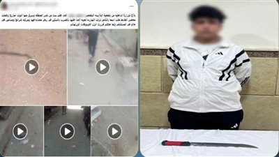 ضبط المتهم بالاعتداء على سيدة وسرقتها بالإسماعيلية