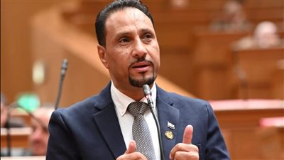 جرجس لاوندي: زيادة موازنة الصحة 25% غير كافية وحدها لتحسين جودة حياة المواطن