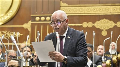 مجلس الشيوخ يوافق على اقتراح النائب حازم الجندي بشأن مقر قصر ثقافة طنطا ويحيله للحكومة للتنفيذ