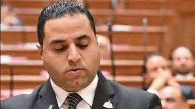 مليار جنيه رقم لا يمكن قبوله.. برلماني يطالب بزيادة مخصصات دعم الفلاح في الموازنة الجديدة