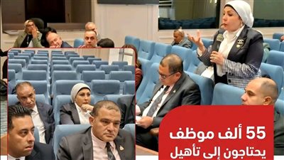 أزمة التمويل متناهي الصغر ليست في القوانين.. بل في تأهيل العاملين