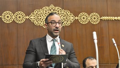 ضمن إنجازات مجلس الشيوخ.. مقترح الحمامصي لتصدير العقار يتحول إلى توصيات رسمية