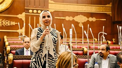 دور الانعقاد الأول لمجلس الشيوخ شهد أداءً مميزًا.. والحكومة استجابت لعدد من رؤى النواب ومقترحاتهم