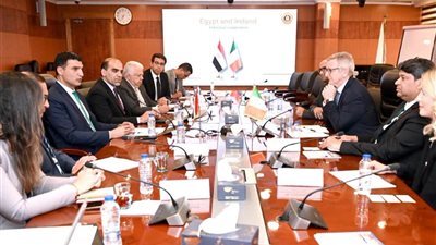 وزير الصناعة يبحث مع سفير أيرلندا وممثلي هيئة المشروعات الأيرلندية فرص تعزيز التعاون الصناعي بين البلدين