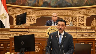 «شريان الاقتصاد المصري».. محمد رزق يستعرض طلب مناقشة عامة بالشيوخ حول مواجهة معوقات المشروعات الصغيرة والمتوسطة ومتناهية الصغر