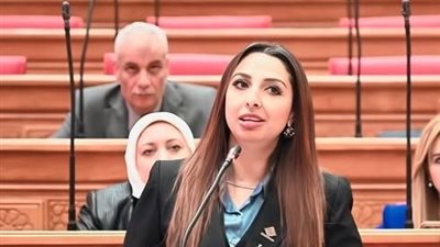 النائبة نشوى الشريف: إعادة مناقشة ملف حملة الماجستير والدكتوراه بلجنة القوى العاملة الثلاثاء المقبل