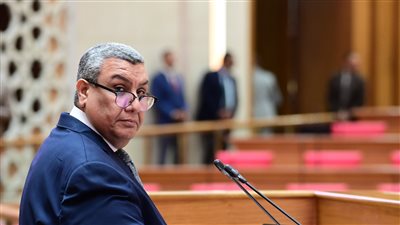 تعظيم فوائض الشركات يعزز موارد الدولة ويحافظ على استدامة الاقتصاد