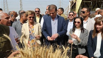 “الزراعة” في ذكرى 30 يونيو.. طفرة تاريخية ونقلة نوعية في قطاع الزراعة والأمن الغذائي