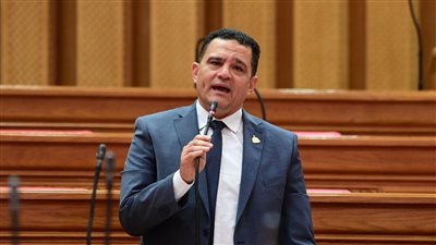 النائب أمير الجزار يتقدم بطلب إحاطة بشأن وقف صرف الأسمدة المدعمة لمحاصيل البساتين ويحذر من تداعياته على الصادرات الزراعية