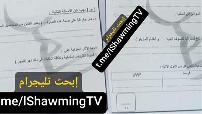 تداول امتحان الدراسات الاجتماعية للشهادة الإعدادية على تليجرام بعد بدء اللجان