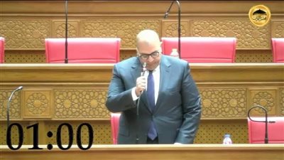 النائب أحمد الشناوي: المنحة الاستشارية الأوروبية تعكس الثقة الدولية في قدرات الدولة المصرية