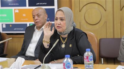 استجابة سريعة من محافظ قنا لمطالب المواطنين وخطوات جادة لتوصيل الغاز الطبيعي لقرى محافظة قنا