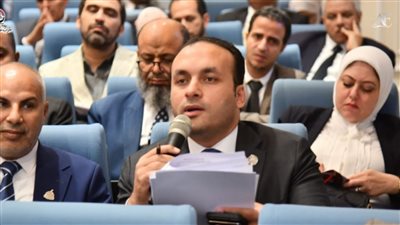 خلال اجتماع موازنة النواب.. النائب عمرو فهمي يؤكد على أهمية تعزيز مخصصات المحافظات لتحسين مستوى الخدمات