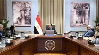 رئيس الوزراء يستعرض الموقف التنفيذي لمشروعات تدعيم الشبكة القومية للكهرباء