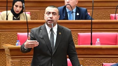 الاتفاقيات التفضيلية تعزز الصادرات لكن تستلزم حماية الصناعات الاستراتيجية وتوازن الميزان التجاري
