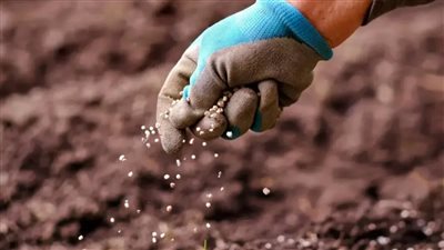 مصر تطبق معايير عالمية في الزراعة