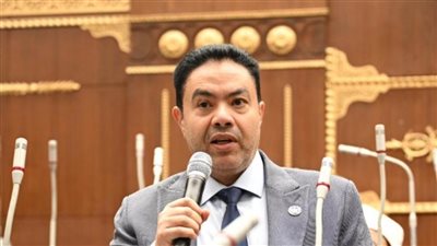 طاقة الشيوخ تبحث مقترح الشرقاوي بشأن مراجعة آلية محاسبة العدادات الكودية الأسبوع المقبل