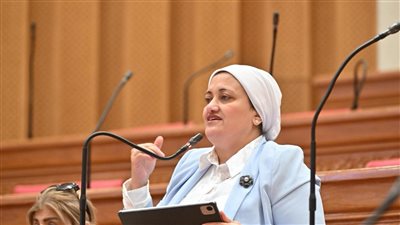النائبة سناء السعيد تتقدم باقتراح برغبة لاستكمال ورصف طريق مجمع منتجات الرمان بأسيوط