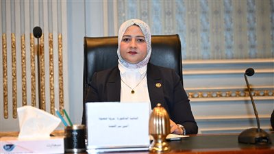 نحتاج ضمانات واضحة لتنفيذ خطة التنمية وسط التحديات الإقليمية