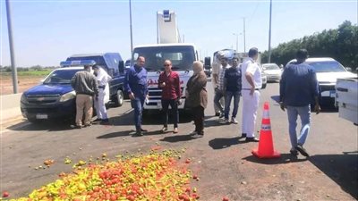 سقوط سيارة خضروات بطريق طلخا