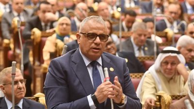 رئيس برلمانية حماة الوطن بالشيوخ يعلن موافقته على خطة التنمية الاقتصادية والاجتماعية للعام المالي ٢٠٢٦