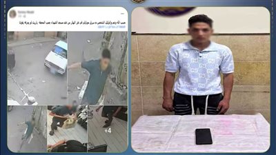 خطفه في ثوانٍ.. ضبط المتهم بسرقة هاتف فتاة في البحيرة