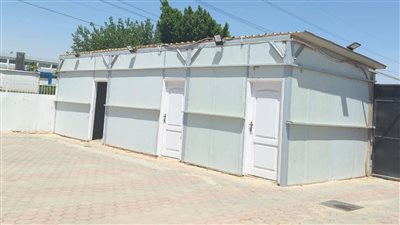 جهود مكثفة لمواجهة ظاهرة الكلاب الضالة داخل المدن الجديدة