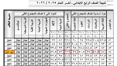 نتيجة الصف الرابع الابتدائي محافظة الجيزة 2026.. رابط الاستعلام بالخطوات