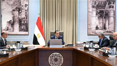 رئيس الوزراء يبحث مقترح إنشاء مركز توزيع لوجيستي عالمي بـ “اقتصادية قناة السويس”