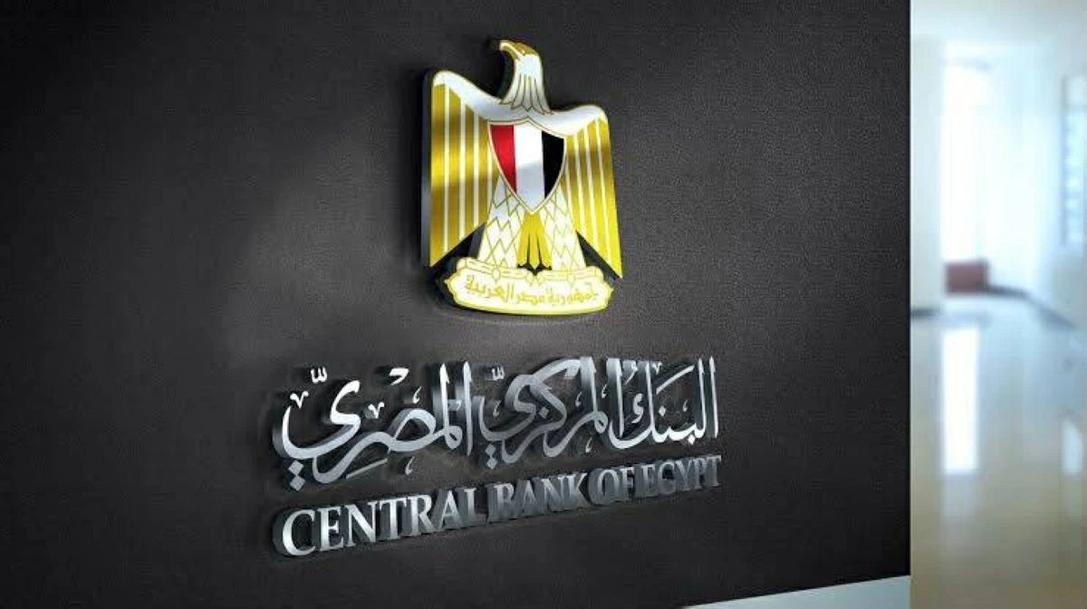 قرار جديد للمصريين بالخارج.. تفاصيل زيادة الحد الأقصى للحسابات المصرفية