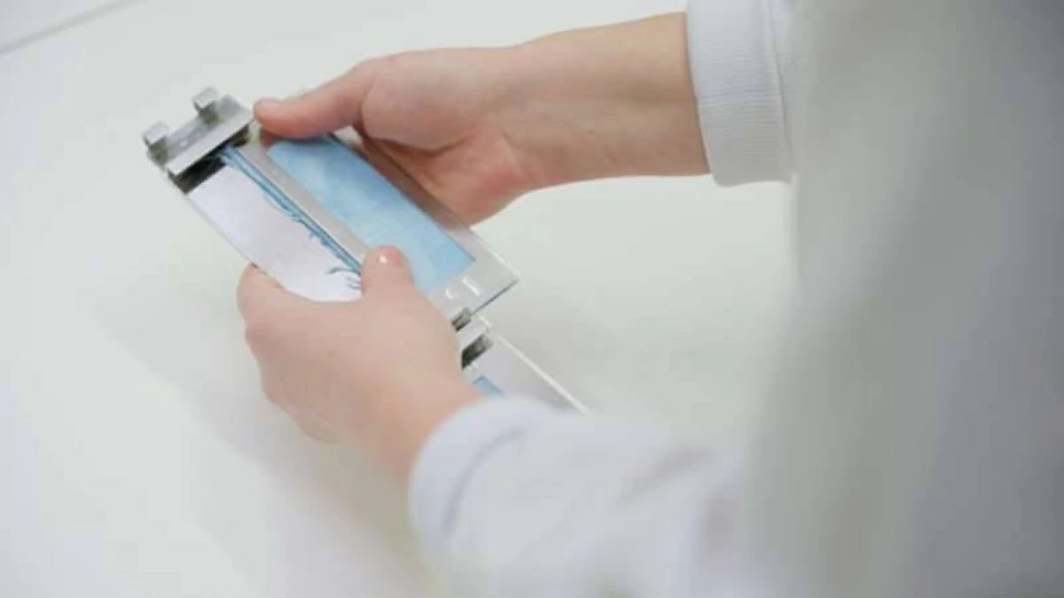 أصباغ مستدامة للمنسوجات من الطحالب
