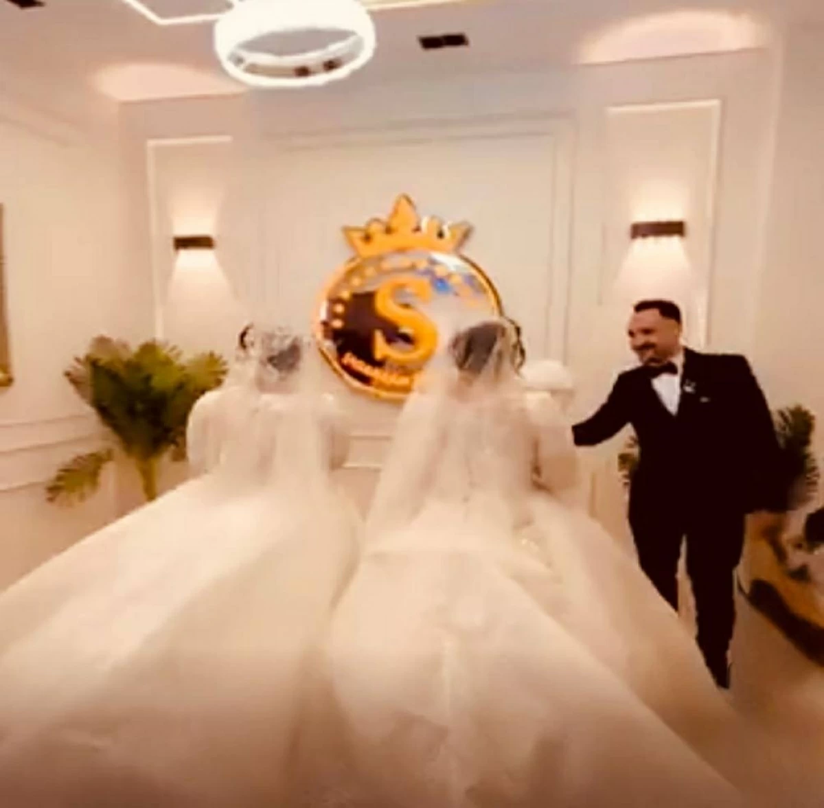 شاب مصري يفشل في تمييز عروسه عن توأمها يوم الزفاف (فيديو)