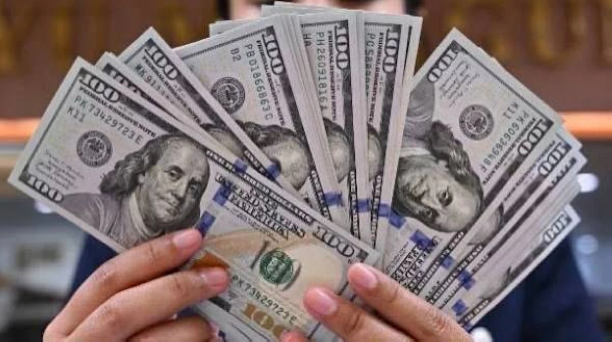 سعر الدولار مقابل الجنيه المصري الاثنين 29 يونيو 2026.. العملة الأمريكية تواصل التراجع