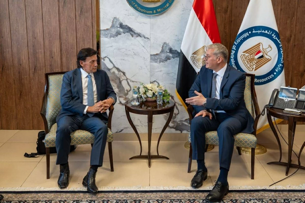 مصر تؤكد تعزيز التعاون مع الشركات الإماراتية بقطاع الطاقة