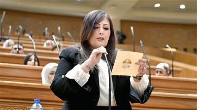 مصر بقيادة السيسي تقود جهود التهدئة وتدافع عن حقوق الشعوب في المحافل الدولية