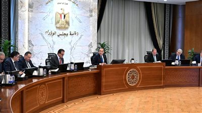 رئيس الوزراء يتابع موقف توافر مخزون من الأدوية والمستحضرات الطبية وسداد مستحقات الشركات