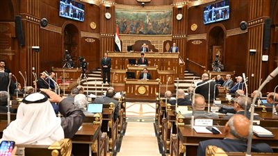 الاثنين المقبل.. مجلس الشيوخ يناقش مشروع قانون خطة التنمية الاقتصادية والاجتماعية للعام المالي 2026/2027