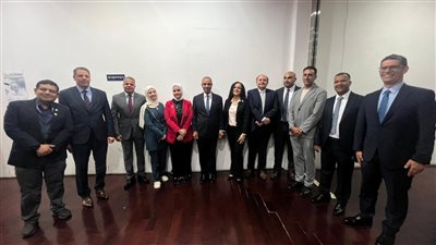 المصريين بالخارج ركيزة أساسية من ركائز القوة الناعمة المصرية وسفراء لوطنهم في مختلف أنحاء العالم